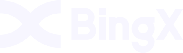 ON_Web_BingX